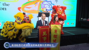 20240306 香港駐悉尼經濟貿易辦事處慶祝農曆新年 Mandarin